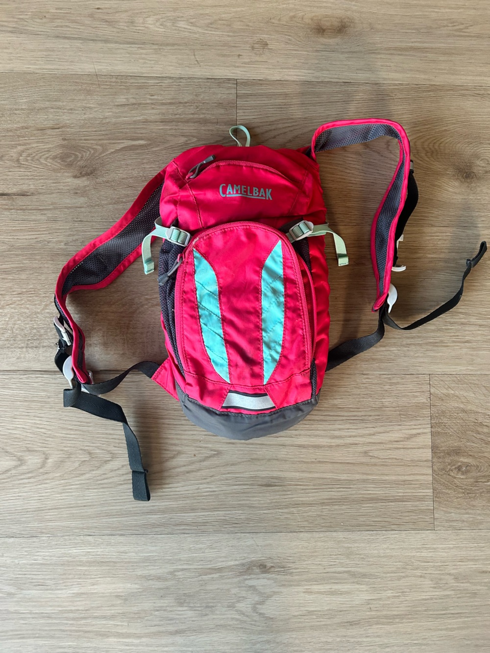 CamelBak Pink Kids Backpack with Mint Accents